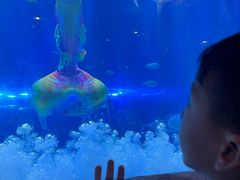 -华夏文旅海洋公园