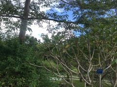 -中国科学院西双版纳热带植物园