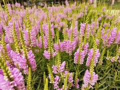 -三五九旅屯垦纪念馆