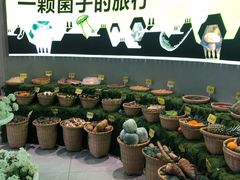 -花菇朵 ll 野生菌锅·精品滇菜(后沙峪店)