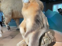 -陕西自然博物馆