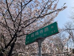 -鸡鸣寺