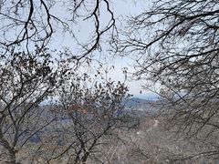 -香山公园