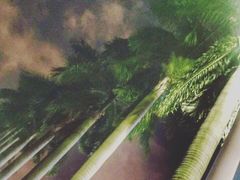 -珠海拱北口岸