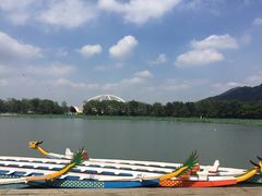 -世纪缘湖滨花园酒店(玄武湖店)