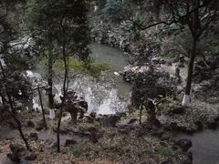 -伯先公园