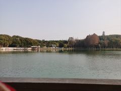-新洲生态园