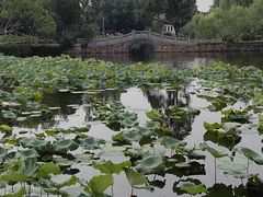-无锡蠡湖国家湿地公园-蠡园