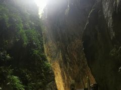 -武陵山森林公园