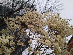 -北京八中游泳馆