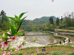 -矮寨·十八洞·德夯大峡谷景区