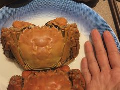 -三利音·浦之舟(滨江大道店)