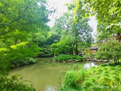 -杭州植物园