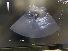 -邢大夫动物医院