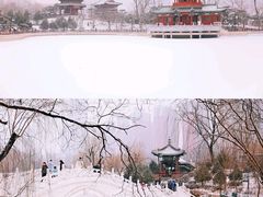 -迎泽公园
