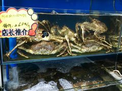 -蚝专家(北滘店)