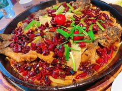 -老板恋上鱼(恒隆广场店)