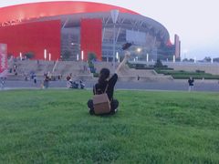 -南京奥林匹克体育中心-体育馆