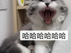 -掌上鲜(南顺城街店)
