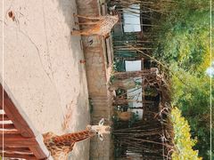 -长鹿旅游休博园