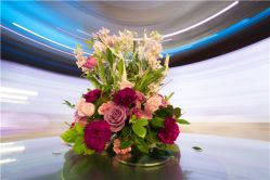 -IDOI婚礼策划·IDOIWEDDING