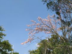 -福州大学(旗山校区)