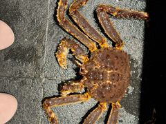 -青蓬蒸汽海鲜·深圳老字号·团建聚会(壹方城店)