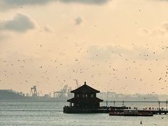 -栈桥景区