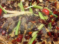 -老板恋上鱼(恒隆广场店)