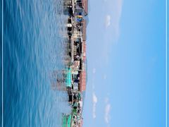 -蓝湾碧波·老字号·疍家非遗海上餐厅