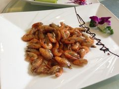 油爆虾-老正兴菜馆(福州路店)