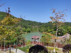 -广州白江湖森林公园