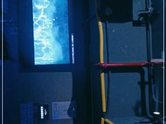 -云晓光头烧烤吧(川沙绿地店)