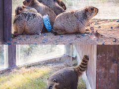 -茅山东方盐湖城景区