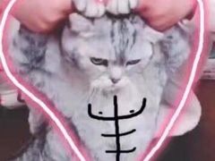 -唱吧麦颂ktv(紫金大厦店)