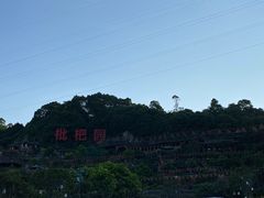 -枇杷园食为鲜火锅(南山店)