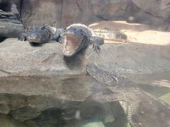 -波塞冬旅游度假区