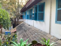 -半坡九号老挝冰咖啡