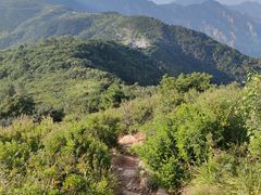 -阳台山自然风景区