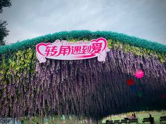 -荷兰花海