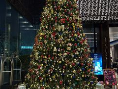 -北京希尔顿逸林酒店