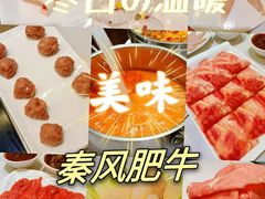 -秦风肥牛(阳阳国际店)