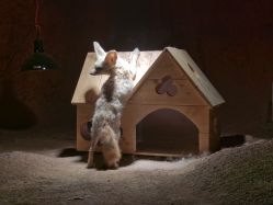 -酷嗒动物文化乐园(cutezoo西溪乐天城店)