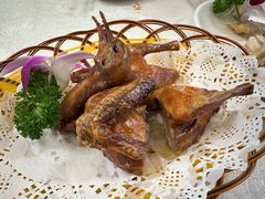 -津津菜馆(绝没分店)