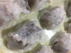 -顺德哥卜卜贝(旗舰店)