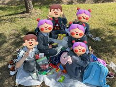 -上海海湾国家森林公园