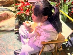 -正佳雨林生态植物园