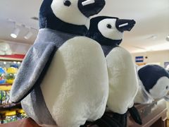 -太平洋海底世界