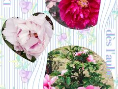 -江南大学-第一食堂(江南苑)