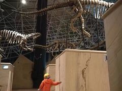 -世界恐龙谷景区